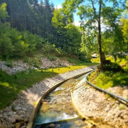 Anin Dvor
